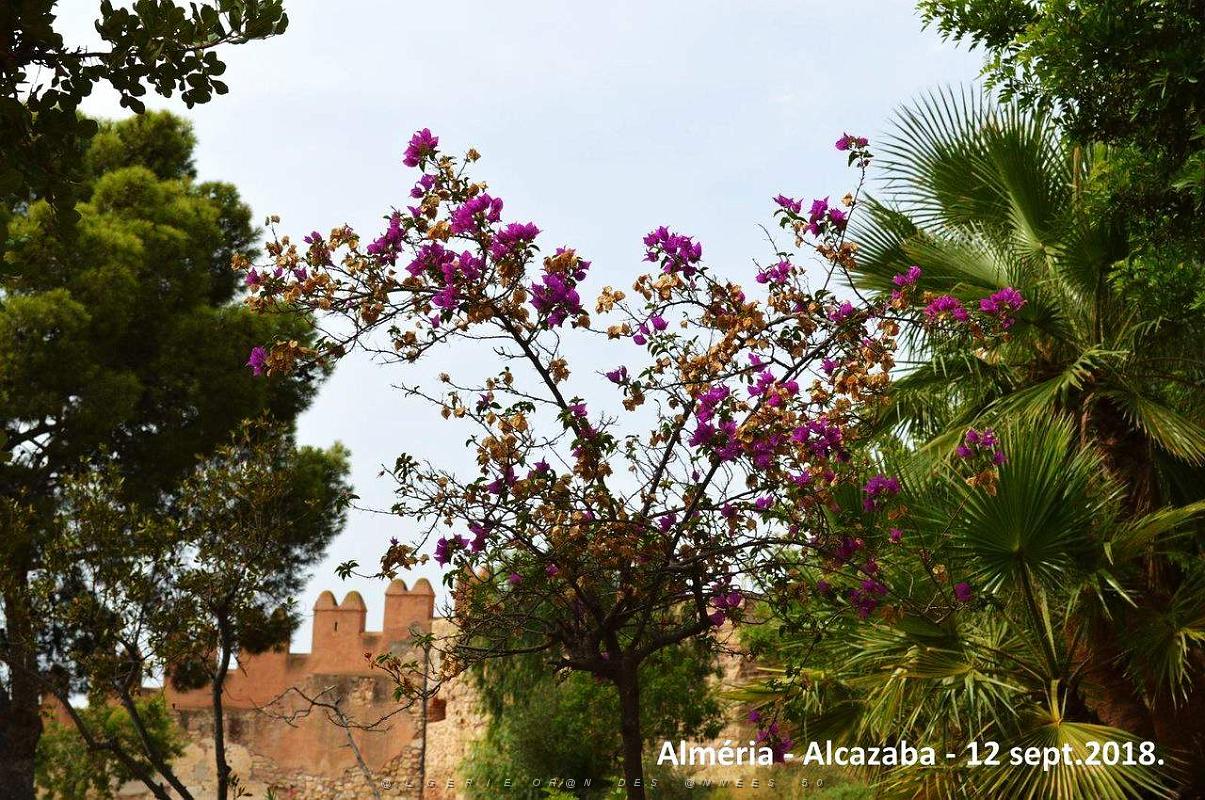 10 ALMERIA ALCAZABA 12 09 2018 (252).JPG